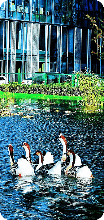 智齿科技周边环境_加入我们5