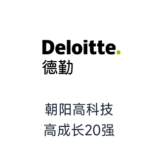 朝阳高科技 高成长20强
