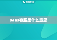 saas客服是什么意思