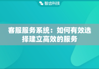 客服服务系统：如何有效选择建立高效的服务