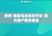 使用 '客服电话系统平台' 提升客户服务质量