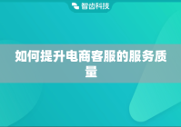 如何提升电商客服的服务质量