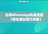 出海WhatsApp私域流量（转化增长技巧详解）