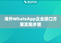 海外WhatsApp企业接口方案实施步骤