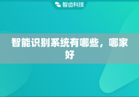 智能识别系统有哪些，哪家好