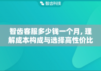 智齿客服多少钱一个月, 理解成本构成与选择高性价比方案