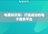 电商知识库：打造成功的电子商务平台
