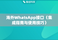 海外WhatsApp接口（集成指南与使用技巧）
