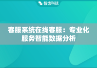 客服系统在线客服：专业化服务智能数据分析