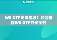 WS OTP无法接收？如何确保WS OTP的安全性