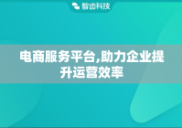 电商服务平台,助力企业提升运营效率