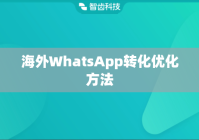 海外WhatsApp转化优化方法