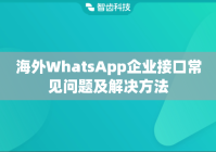 海外WhatsApp企业接口常见问题及解决方法