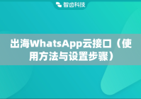 出海WhatsApp云接口（使用方法与设置步骤）