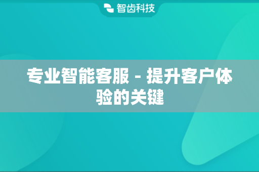 专业智能客服 - 提升客户体验的关键