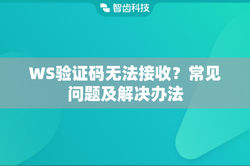 WS验证码无法接收？常见问题及解决办法